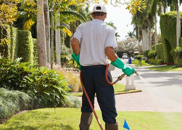 About Kamas UT Pest Control